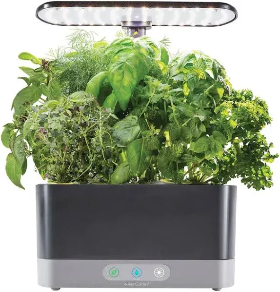 AeroGarden Harvest with Gourmet Herb Seed Pod Kit, Black