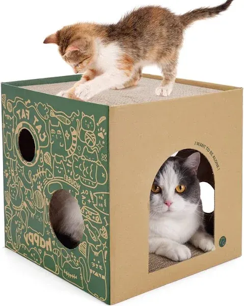 ARGOpet Cardboard Cat House