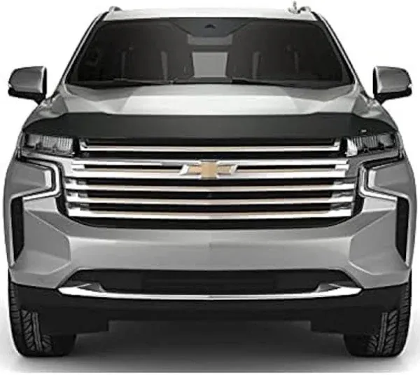 Ford F-150 AVS Aeroskin Hood Protector