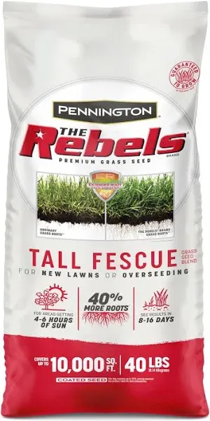 Seed Shade TL Fescue 20#