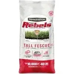 Pennington The Rebels 40-lb Tall Fescue Grass Seed