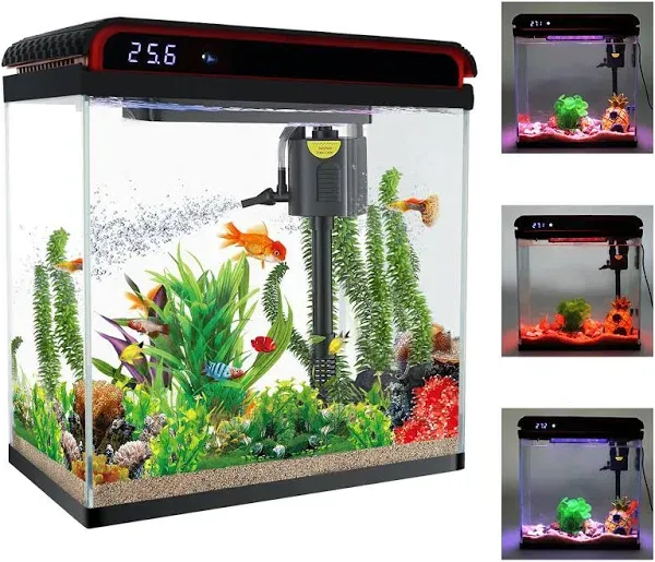 Betta Fish Tank