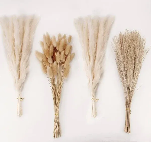 ANPROOR Dried Pampas Grass Decor, 100 Pcs Pampas Grass Contains Bunny Tails Dried Flowers, Reed Grass Bouquet for Wedding Boho Flowers Home Table