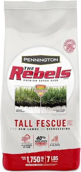 Rebels Tall Fescue Grass Seed, for Sun to Partial Shade, 7 Lb.