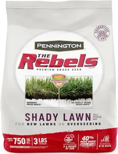 Pennington Rebels Tall Fescue Grass Seed