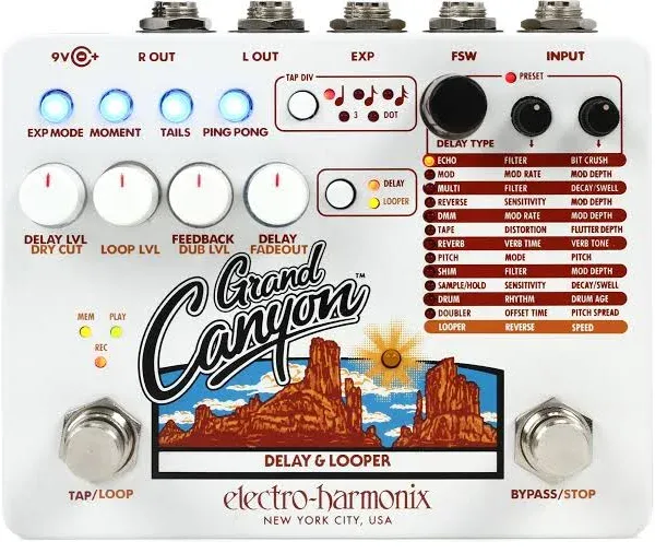 Electro-Harmonix Grand Canyon Delay/Looper Pedal