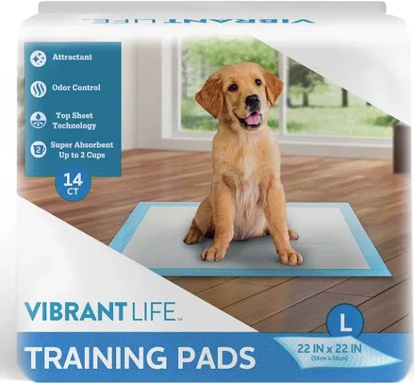 Vibrant Life Training Pads, Large, 22 in x 22 in, 50 Count