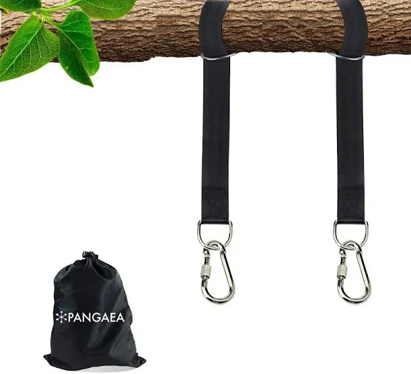 Tree Swing Hanging Straps Kit, Heavy Duty Holds 2200LBS 5FT Extra Long, with Safer Lock Snap Carabiners & Carry Pouch Bag