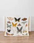 Clementine Kids Butterfly Collector Quilt