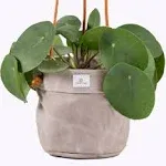 Large Waxed Canvas Handmade Hanging Planter for Standard 6&#034; Stone Gray