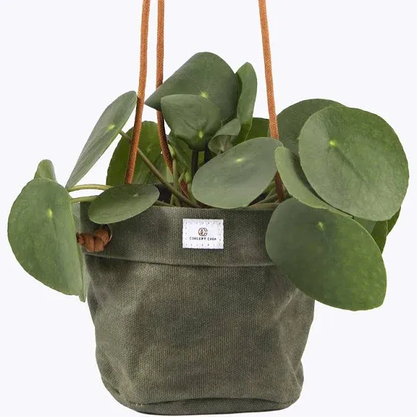 Waxed Canvas Handmade Hanging Planter for Standard 6&#034; Forest Green