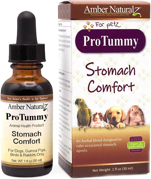 Amber Naturalz - ProTummy - Stomach Comfort - for Petz - 1 Ounce