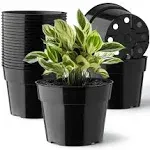 RooTrimmer 20 Pack 6 Inch Plant Pots