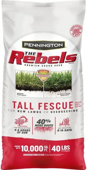 Pennington Rebels Tall Fescue Grass Seed