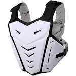 Calopet Light Upgrade Chest Armor