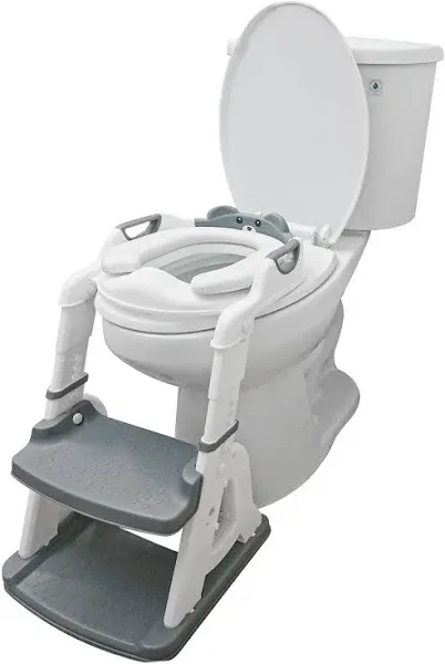 2-in-1 Potty Training Seat: Kids Potty Training Toilet, Toddler Step Stool fo...