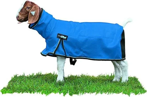 ProCool Mesh Goat Blanket with Reflective Piping