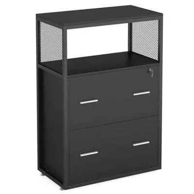 Tribesigns 2 Drawer Lateral File Cabinet with Lock