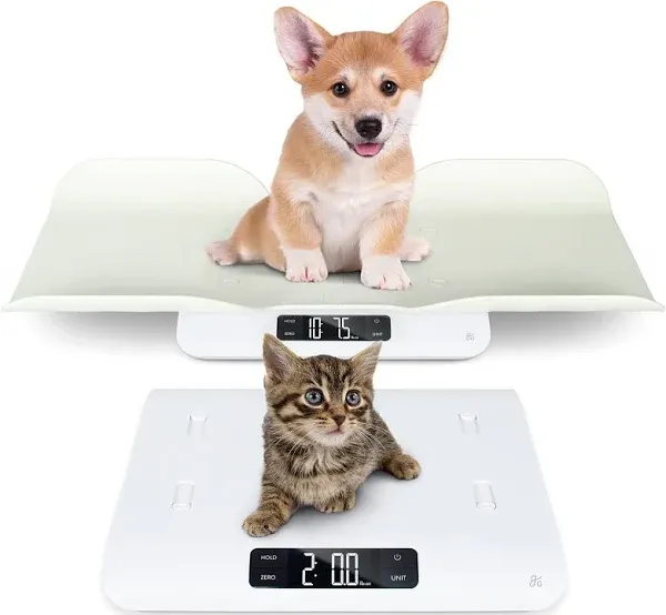 Greater Goods Digital Pet Scale, Accurately Weigh your Kitten, Rabbit, White 