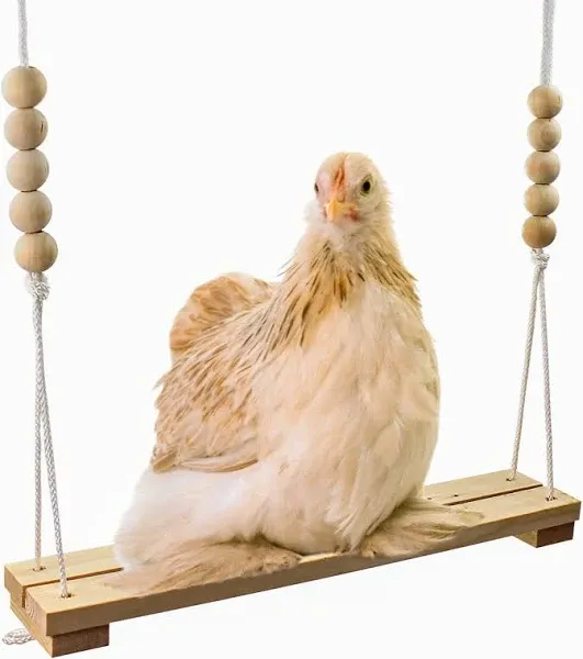 Chicken Swing Toy for Coop Handmade in USA!!! Natural Safe Wooden Accessories Large Durable Perch Ladder for Poultry Run Rooster Hens Chicks Pet Parrots Macaw Entertainment Stress Relief for Birds