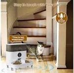 iPettie Automatic WiFi Pet Feeder