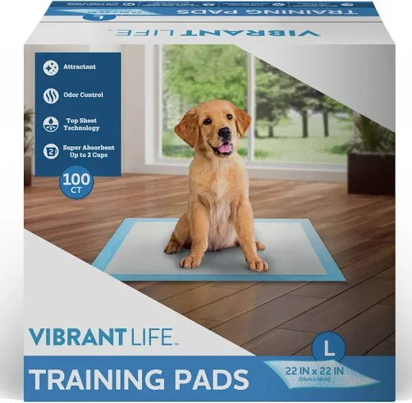 Pet All Star Training Pads