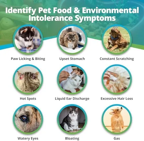 5Strands Pet Food And Environmental Intolerance Test At Home Sensitivity Test for Dogs & Cats