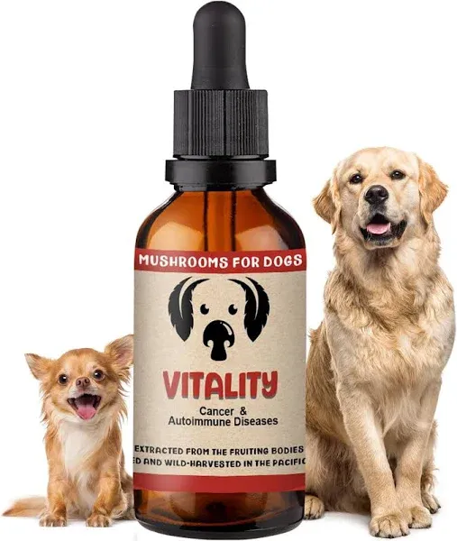 MycoDog Vitality