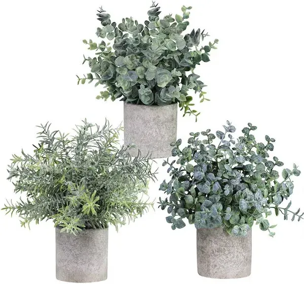 Winlyn Set of 3 Mini Potted Artificial Eucalyptus Plants Plastic Fake Green Rose