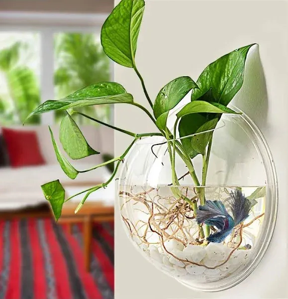 Wall-Hanging Fish Bowl Acrylic Wall-Mounted Plant Pot 1 Gallon Fish Tank 11.5...