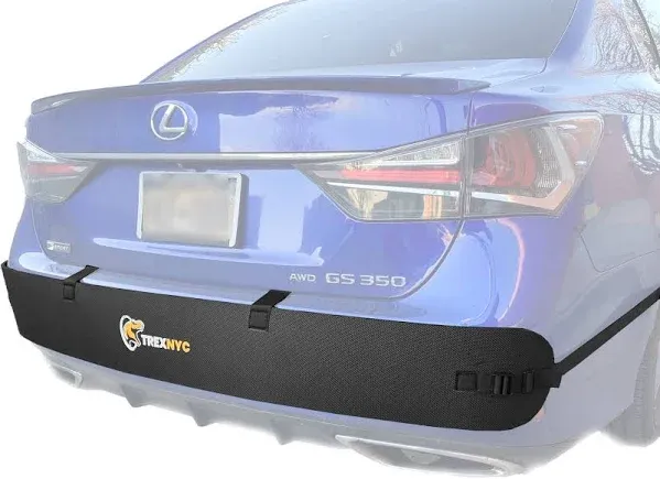 T-Rex Rear Bumper Guard