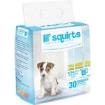 RUFFIN' IT Lil' Squirts Puppy Training Pads 50 Pk