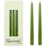 Zest Candle 12-Piece Taper Candles, 10-Inch, Sage Green