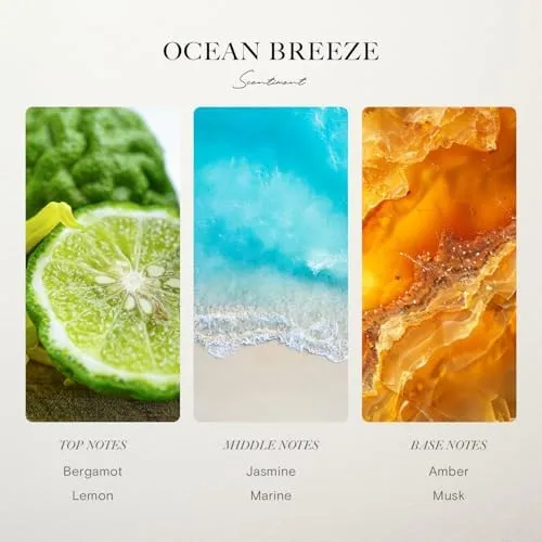 Ocean Breeze Hotel Diffuser Oil | Aromatherapy Fragrance Inspired by 5-Star Hotels | Luxurious Scent with Notes of Bergamot, Lemon, Jasmine with Marine & Amber (20ml)