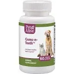 SEALED Pet Alive Gumz-n-Teeth 60 Capsules For Cats &amp; Dogs Healthy Teeth &amp; Gums