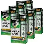 Case of 6: Hot Shot® Ultra Clear Ant & Roach Gel Bait - 2.5oz - Tube B0293194 - Horticulture Source