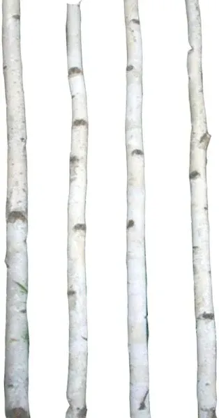 Four Thin White Birch Poles