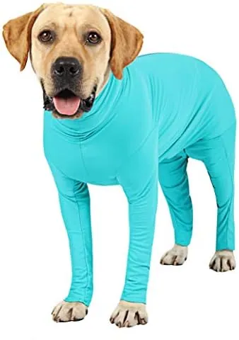 Etdane Dog Onesie