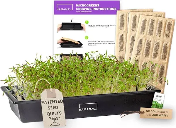 Hamama Home Microgreens Growing Kit