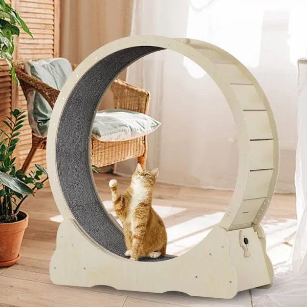 Cat Exercise Wheel for Indoor Cats, Cat Running Wheel with TPE Silent Roller, Cat Treadmill Wheel, Cat Rotating Wheel Weight Loss Device with Replaceable Pads, 38x36x13.5(Black)