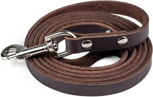 Mighty Paw Distressed Leather Dog Leash: Premium Comfort and Style