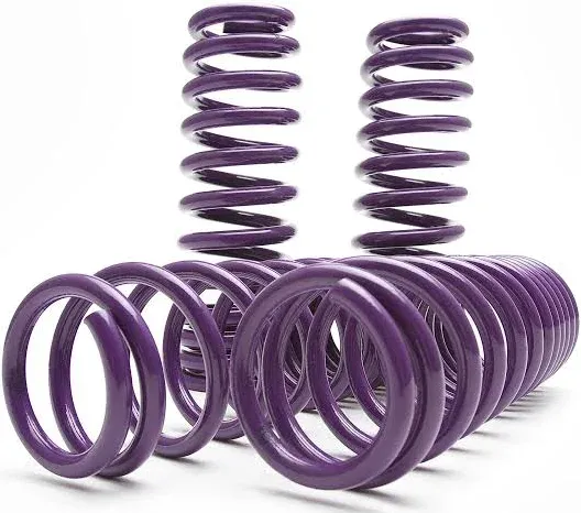 D2 Racing Honda Civic Lowering Springs Kit