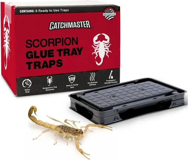 Catchmaster Scorpion Glue Tray Traps 6-Pack, Adhesive Scorpion Killer for Hom...