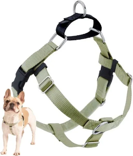 2 Hounds Design Freedom No Pull Dog Harness | Comfortable Control for Easy Walking | Adjustable Dog Harness | Small, Medium & Large Dogs | Made in USA | Solid Colors | 5/8" XS Kelly Green