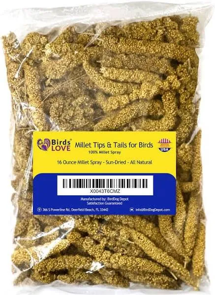 Birds LOVE Millet Tips & Tails for Birds - Parakeets, Cockatiels, Lovebirds, Finches, Budgies, Canaries, Cockatoos - Natural & Healthy Millet for Birds - Parakeet Food & Treats for All Parrots, 1lb