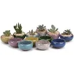 T4U 2.5 inch Ceramic Ice Crack Zisha Serial Succulent Plant Pot Cactus Plant Pot