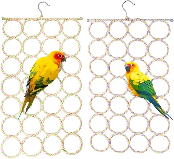 Parrot Swing Hanging Toys