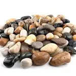 Smooth Multicolor Pebbles - 7 lb Natural Rocks for Gardens &amp; Water Features