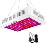 King Plus 1000W LED Grow Light