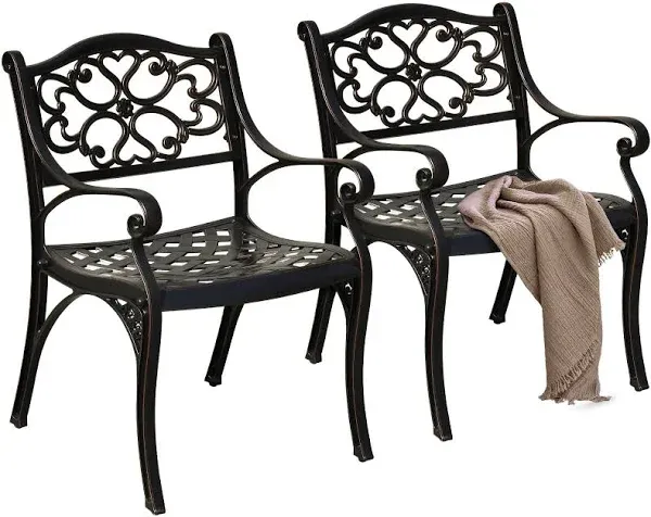 DWVO Set of 2 Outdoor Cast Aluminum Chairs